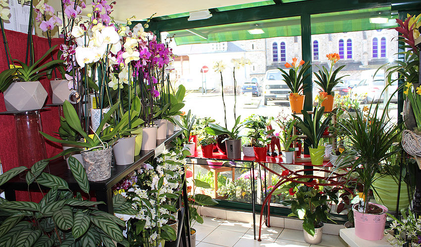 Magasin de fleurs à ploërmel